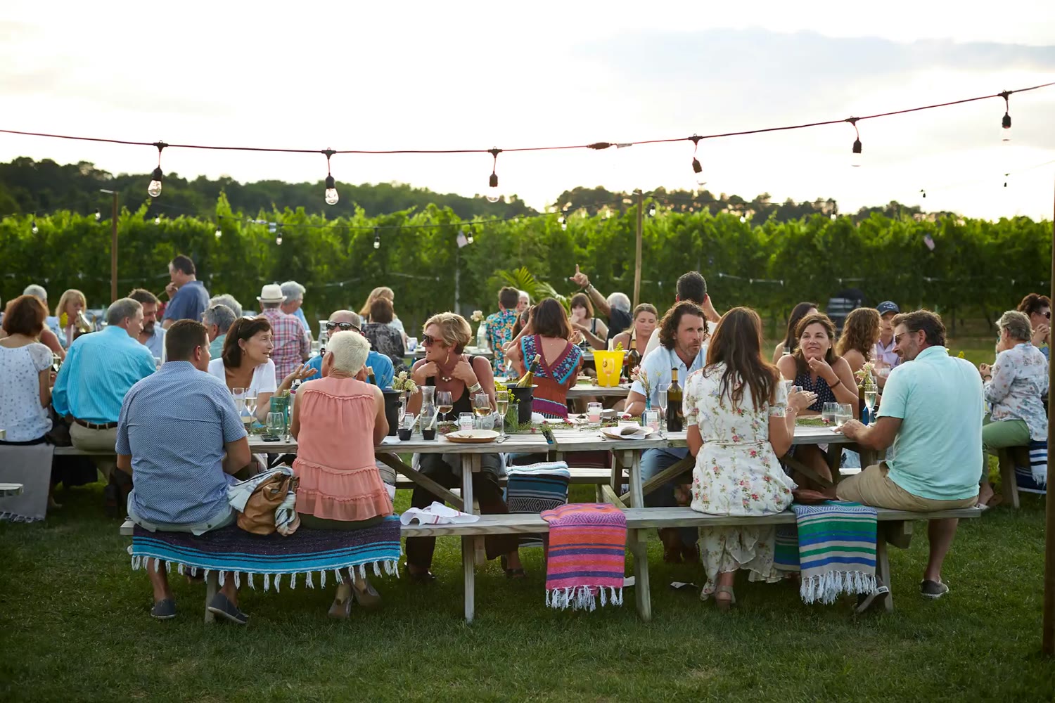 A long communal dinner outdoors under string lights